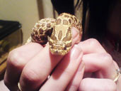 Western Hognose Snake being Handled