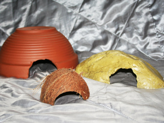 Various hides that are suitable for a Hognose Snake