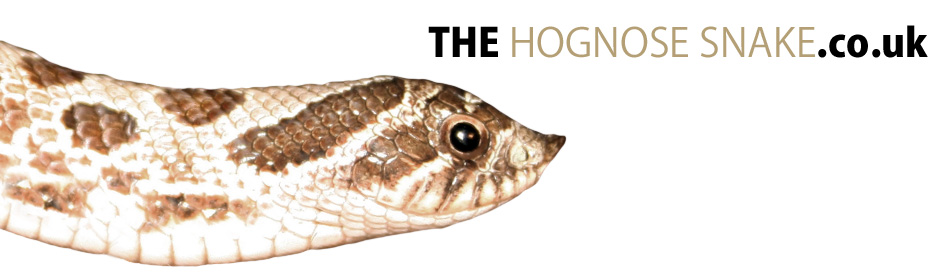 The Hognose Snake - The place to find Hog Nose Snake information on the internet!